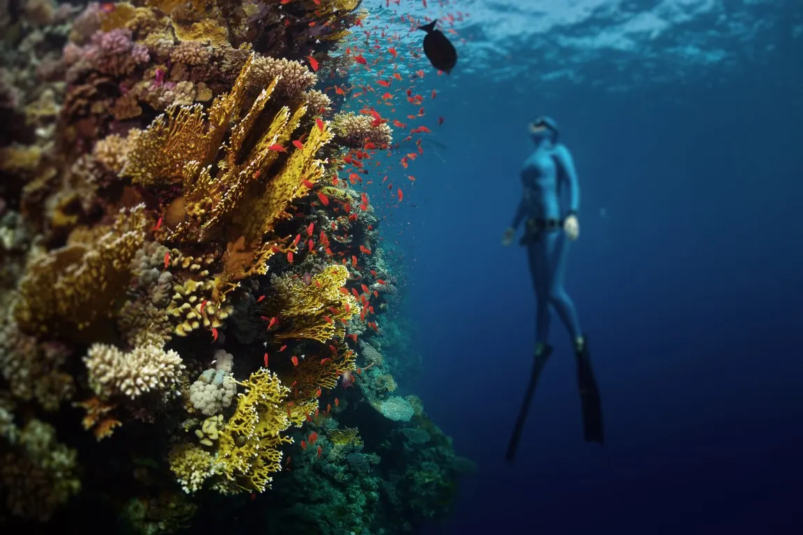 Diving with Foka in the waters off the island of Pag, photo 5