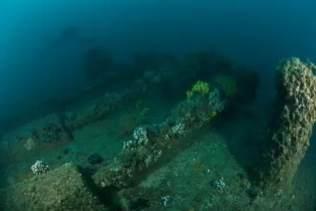 Diving with Foka in the waters off the island of Pag, photo 9